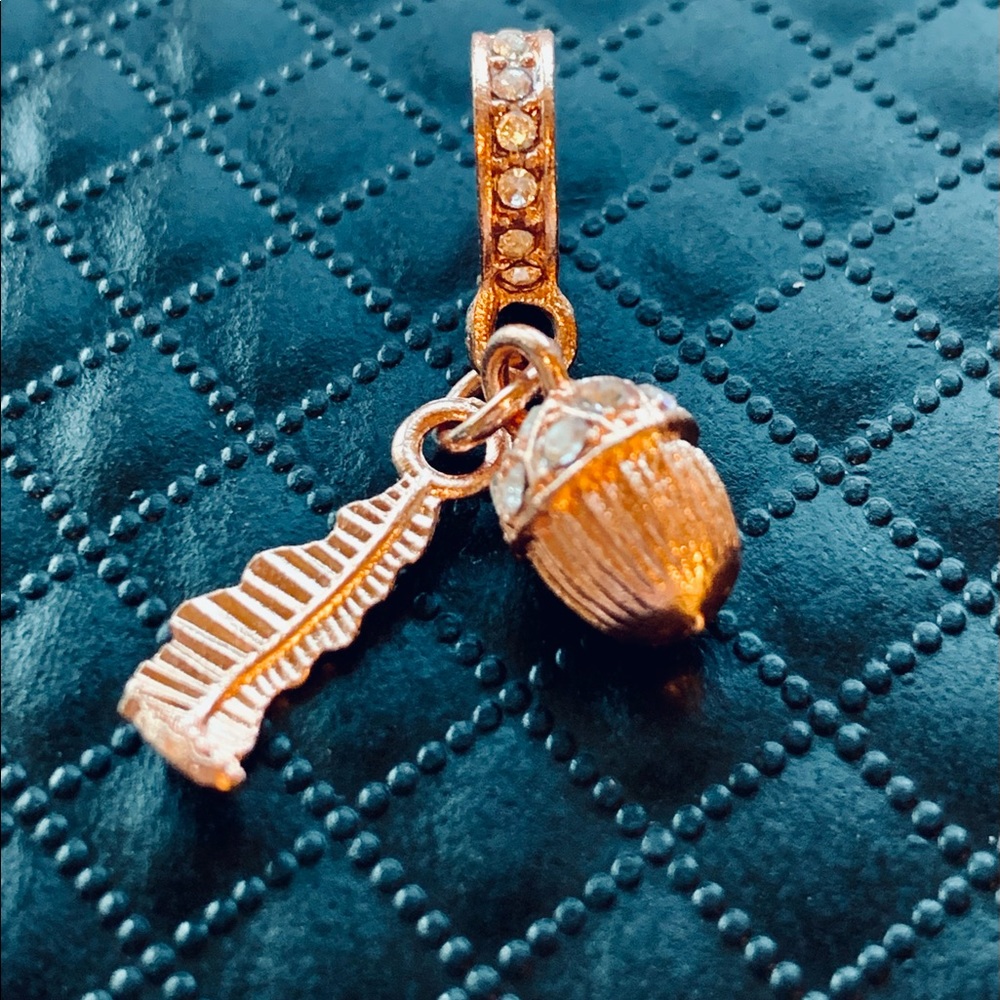 Acorn European Bracelet Charm